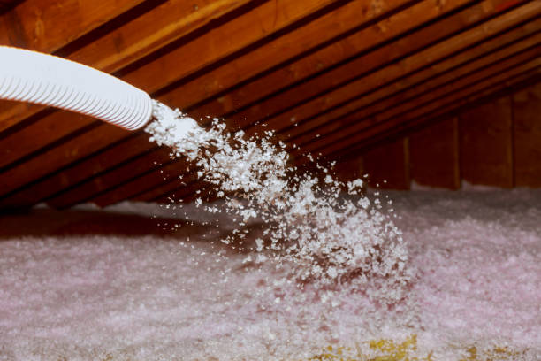 Best Cellulose Insulation in Veneta, OR