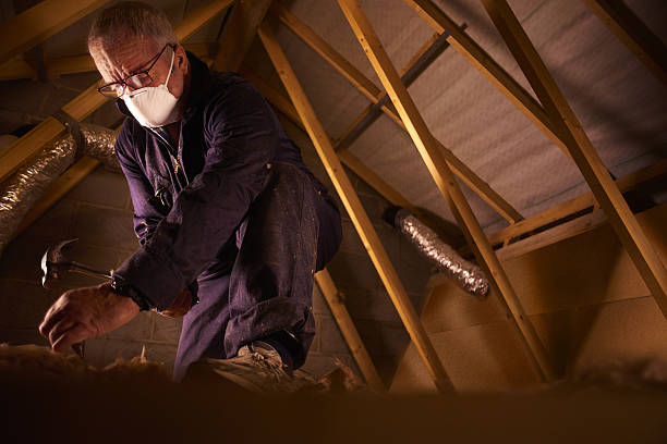 Types of Insulation We Offer in Veneta, OR